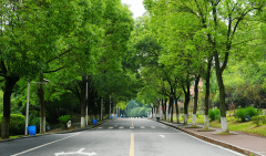 高于全国同类应届生平均